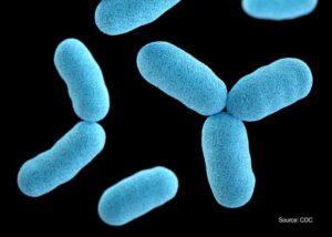 Read more about the article 10 Basic Things You Need To Know About Diphtheria Disease.