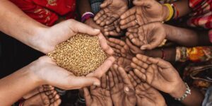Read more about the article United Nations Worries Over Food Crisis In Nigeria And 14 Other Countries.