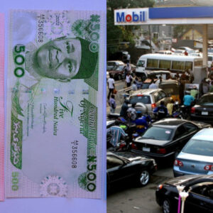 Read more about the article New naira, petrol scarcity ground businesses