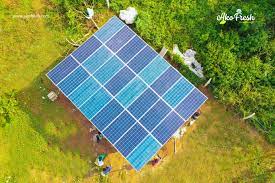 Read more about the article Heifer Releases A Solar-Powered Storage System For Farmers In Lagos