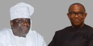 Read more about the article Why I Couldn’t Visit The Oba Of Lagos During My Campaign – Peter Obi Explains