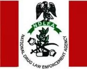 NDLEA: Drug Abuse Fuels Insurgencies and Kidnappings.